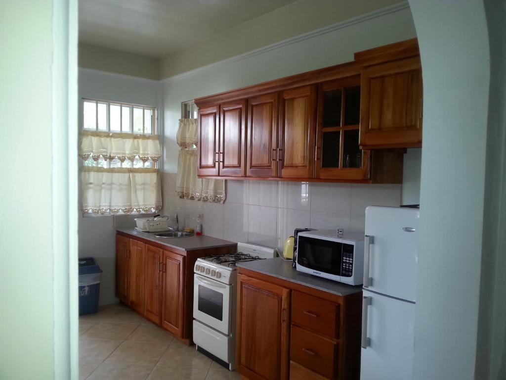 Corosol Apartments Roseau Dış mekan fotoğraf